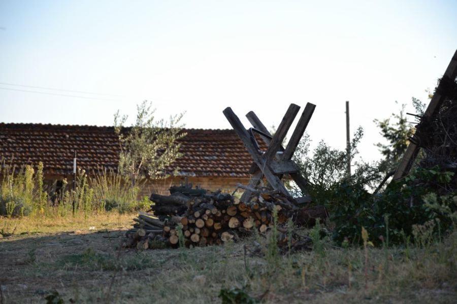 Perugia Farmhouse Dış mekan fotoğraf
